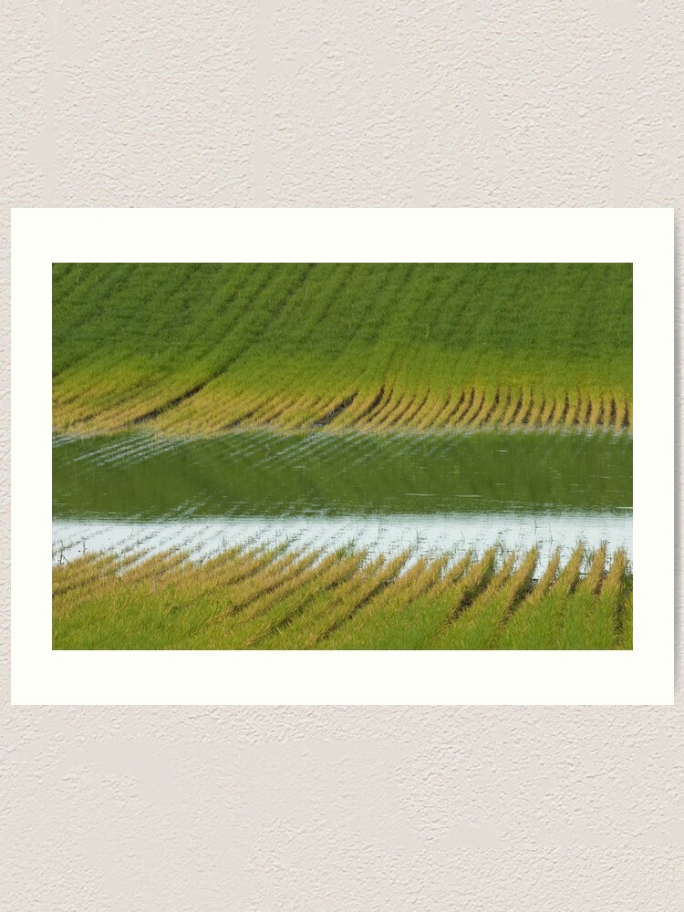 Alternate view of Fertile Grooves Art Print