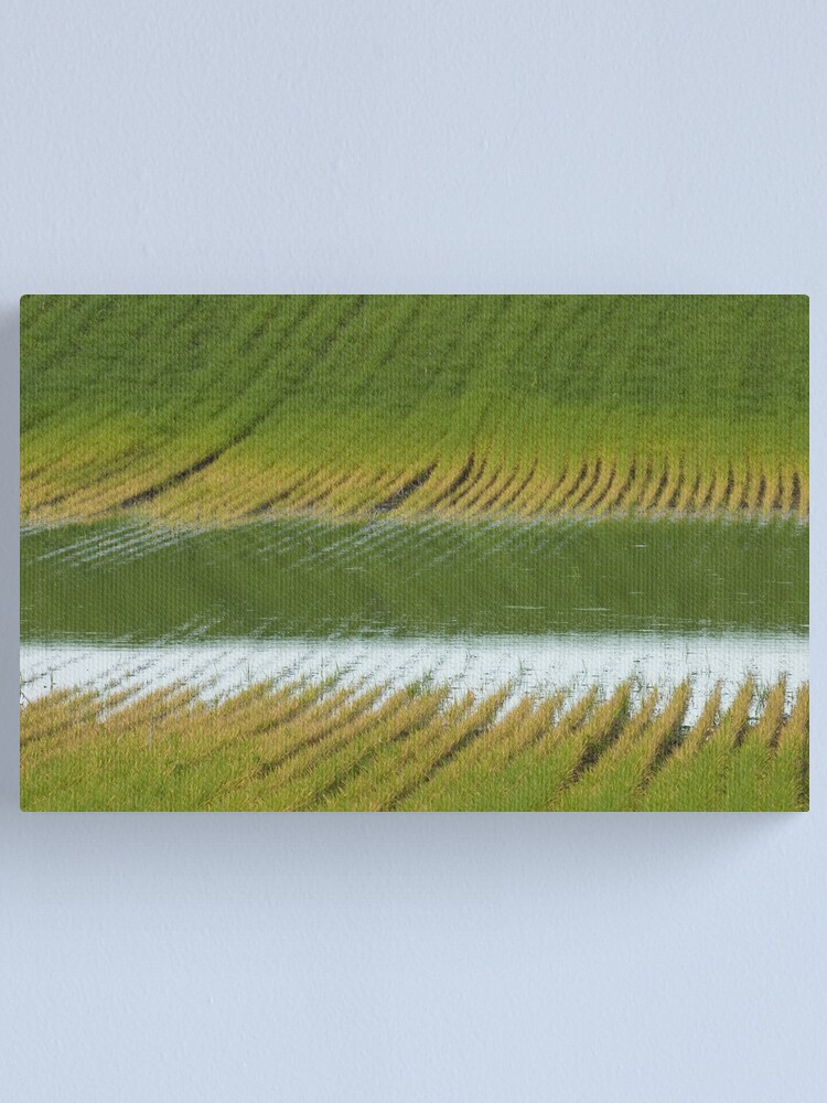Alternate view of Fertile Grooves Canvas Print