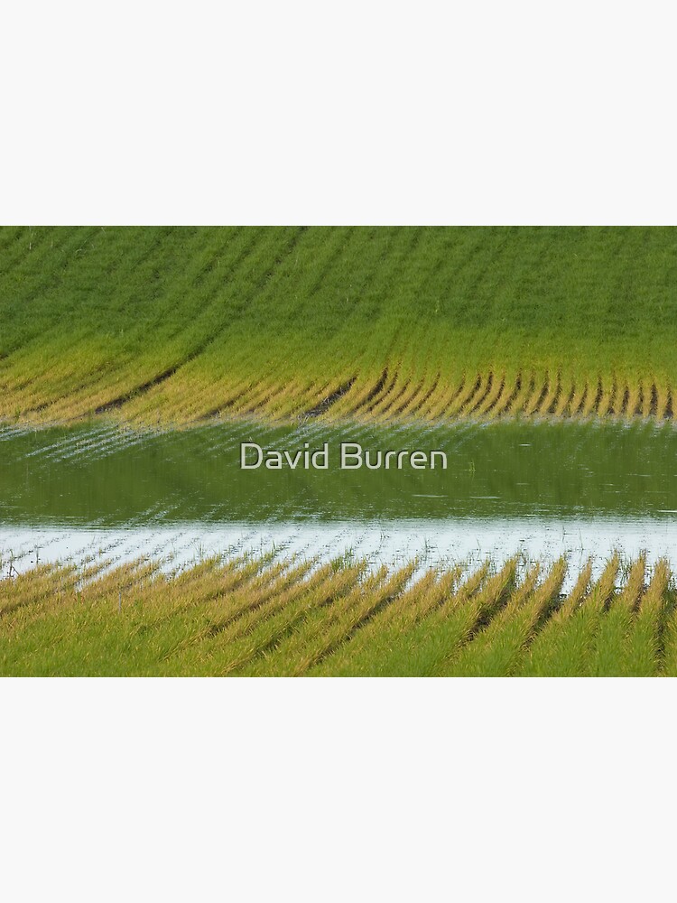Fertile Grooves by DavidBurren