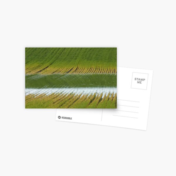 Fertile Grooves Postcard