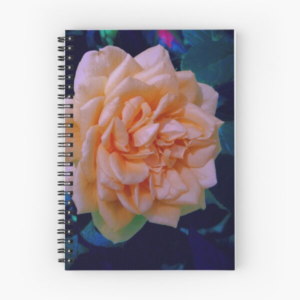 Item preview, Perfect Rose designed and sold by aaron-jay.