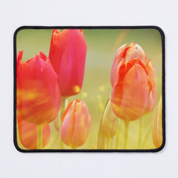 Item preview, Sunburst Tulips designed and sold by JohnDSmith.