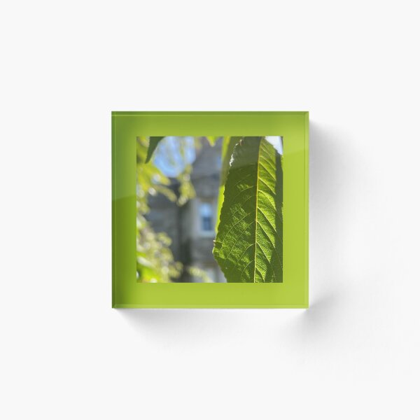 Item preview, Bryn Mawr Foliage designed and sold by Pisces-Pics.