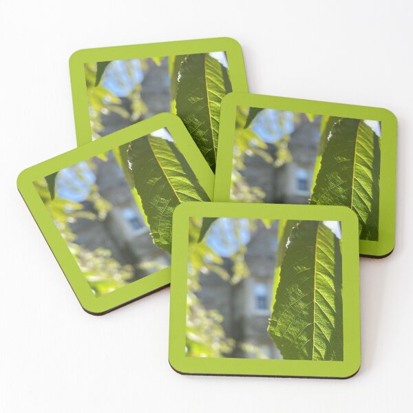 Item preview, Bryn Mawr Foliage designed and sold by Pisces-Pics.