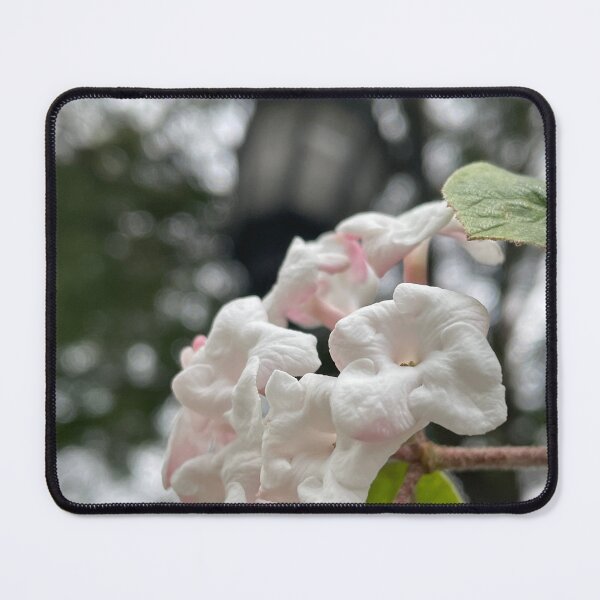Item preview, Lamppost designed and sold by Pisces-Pics.