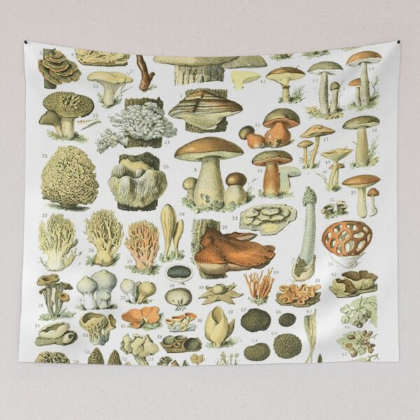 Item preview, Mushroom Varieties  designed and sold by walterbria.