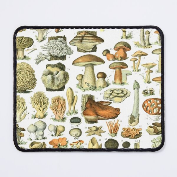 Item preview, Mushroom Varieties designed and sold by walterbria.