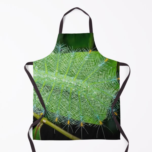 Item preview, An uniquely shaped Common Baron butterfly caterpillar (Euthalia aconthea) designed and sold by AvonPerception.