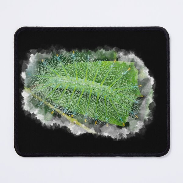 Item preview, Watercolour of an uniquely shaped Common Baron butterfly caterpillar (Euthalia aconthea) designed and sold by AvonPerception.