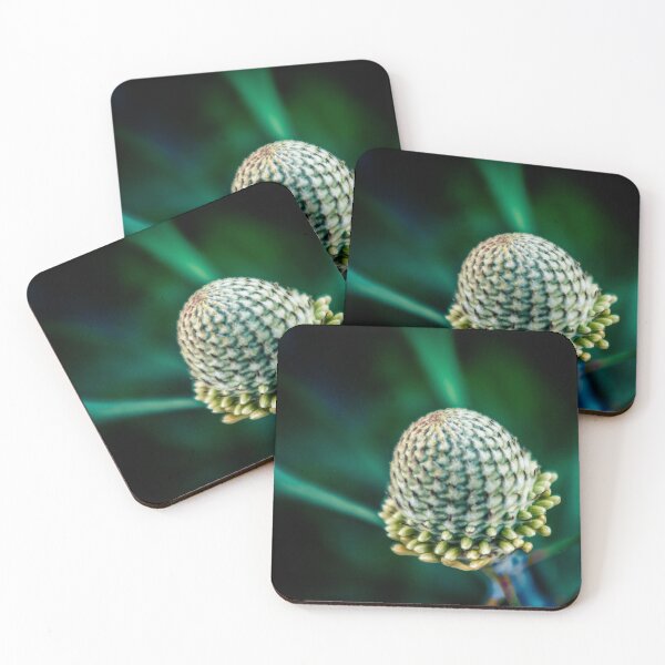 Item preview, Banksia designed and sold by PhotographicAl.