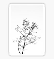 Minimalism Tree Sticker