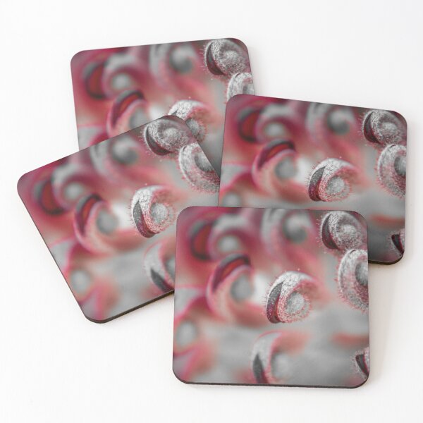 Item preview, Grevillea designed and sold by PhotographicAl.