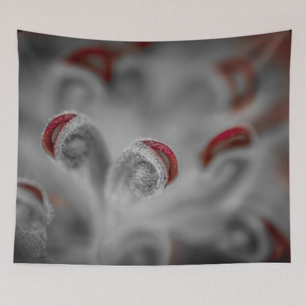 Item preview, Grevillea designed and sold by PhotographicAl.