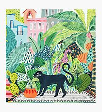 Jungle Panther Photographic Print