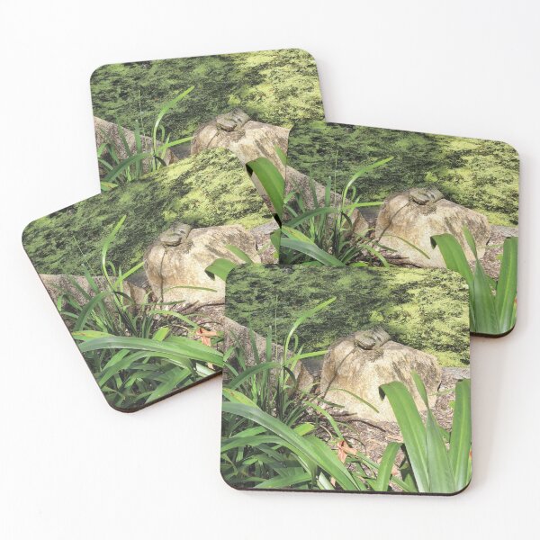 Item preview, Mount Coot-tha Botanic Gardens designed and sold by OCNau.