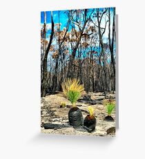 Life After Fire Greeting Card