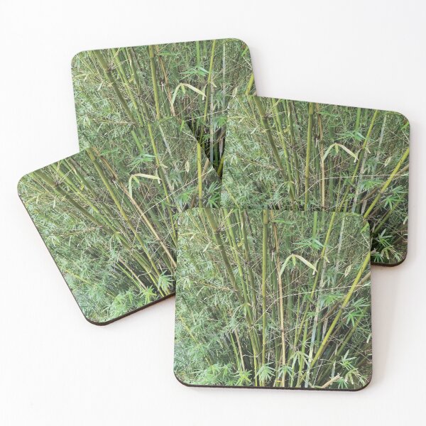 Item preview, Mount Coot-tha Botanic Gardens designed and sold by OCNau.
