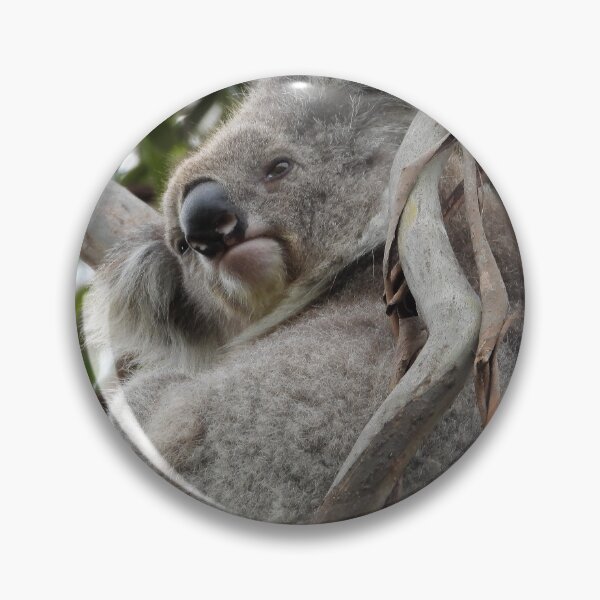 Item preview, Koala In a Tree  designed and sold by Linda Sijpkes.