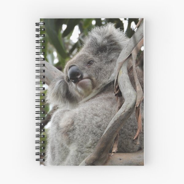 Item preview, Koala In a Tree  designed and sold by Linda Sijpkes.