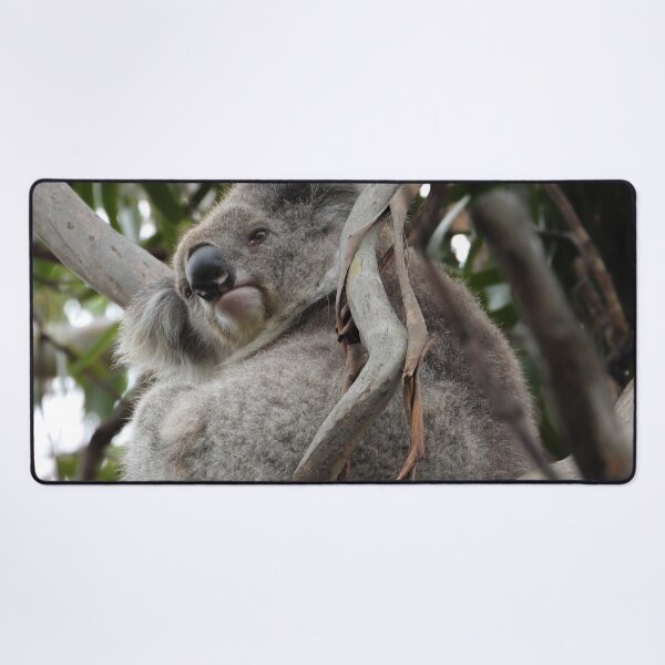 Item preview, Koala In a Tree designed and sold by Linda Sijpkes.