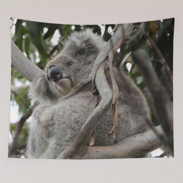 Item preview, Koala In a Tree  designed and sold by Linda Sijpkes.