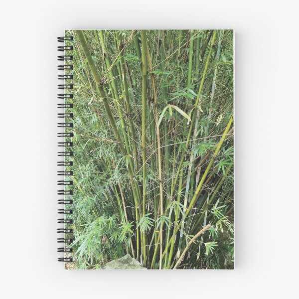 Item preview, Mount Coot-tha Botanic Gardens designed and sold by OCNau.