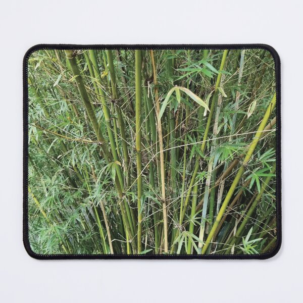 Item preview, Mount Coot-tha Botanic Gardens designed and sold by OCNau.