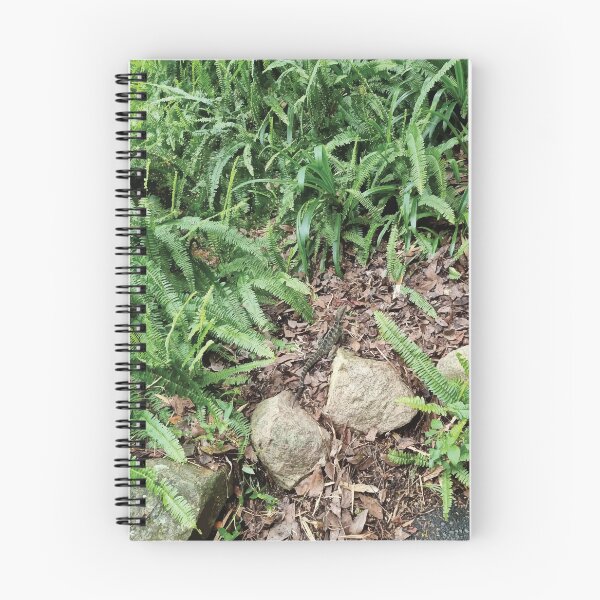 Item preview, Mount Coot-tha Botanic Gardens designed and sold by OCNau.