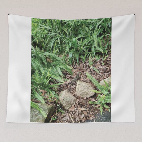 Item preview, Mount Coot-tha Botanic Gardens designed and sold by OCNau.