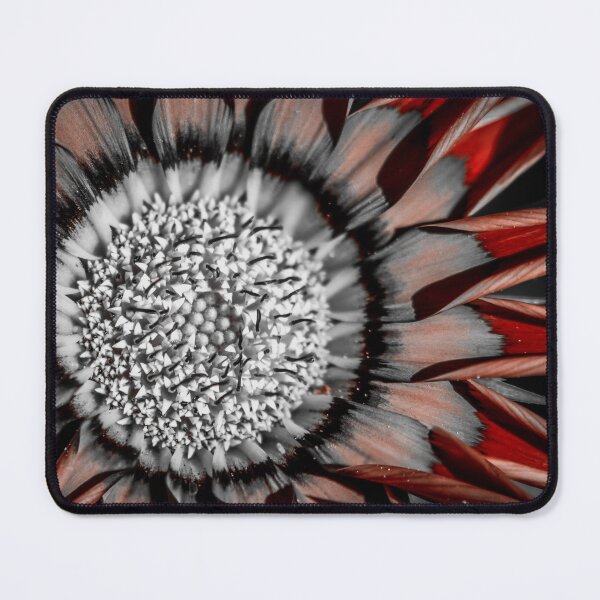 Item preview, Gazania designed and sold by PhotographicAl.