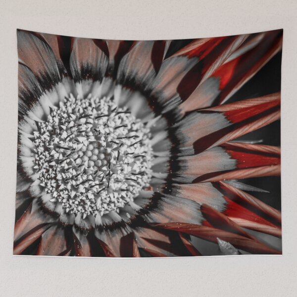 Item preview, Gazania designed and sold by PhotographicAl.