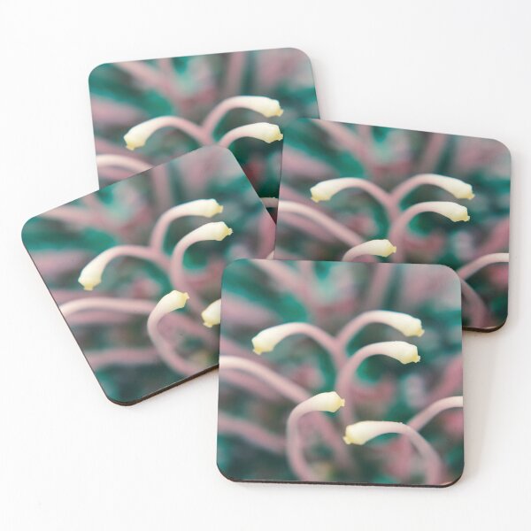 Item preview, Stamen designed and sold by PhotographicAl.