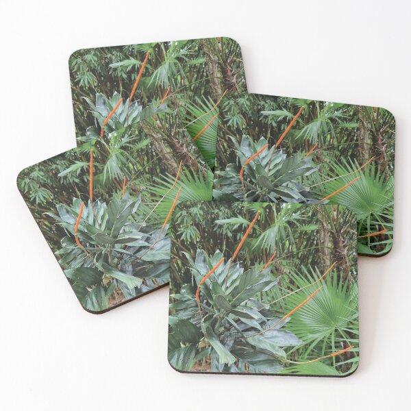 Item preview, Mount Coot-tha Botanic Gardens designed and sold by OCNau.