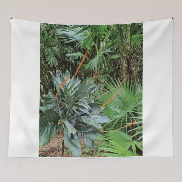 Item preview, Mount Coot-tha Botanic Gardens designed and sold by OCNau.