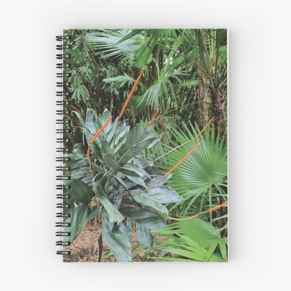 Item preview, Mount Coot-tha Botanic Gardens designed and sold by OCNau.