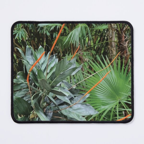 Item preview, Mount Coot-tha Botanic Gardens designed and sold by OCNau.