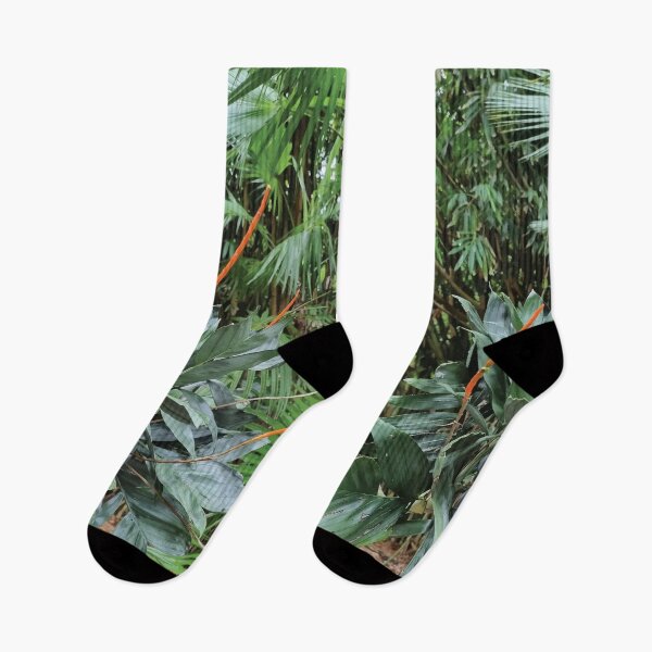 Item preview, Mount Coot-tha Botanic Gardens designed and sold by OCNau.