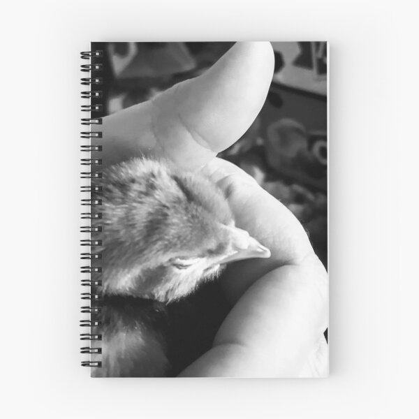 Artikelvorschau, ein Vogel in der Hand entworfen und verkauft von whimsymage.