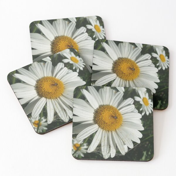 Item preview, Spider Daisy -Nikon  designed and sold by OnigiriSuiko.