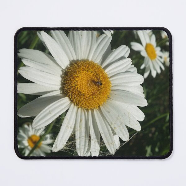 Item preview, Spider Daisy -Nikon  designed and sold by OnigiriSuiko.