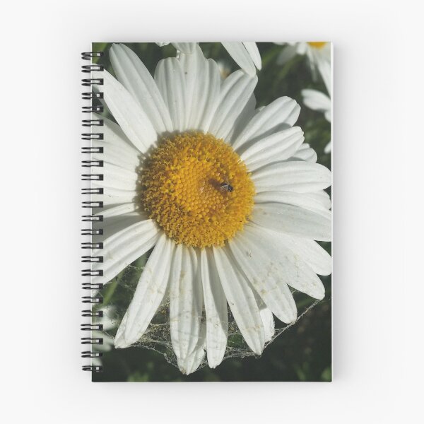 Item preview, Spider Daisy -Nikon  designed and sold by OnigiriSuiko.
