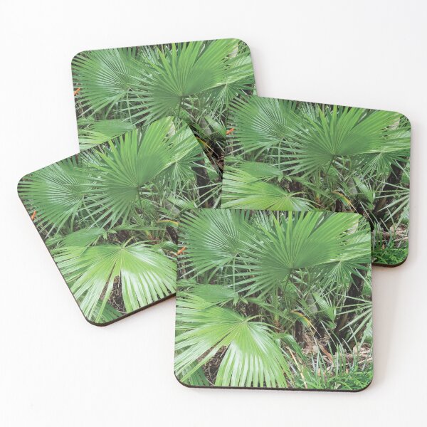 Item preview, Mount Coot-tha Botanic Gardens designed and sold by OCNau.