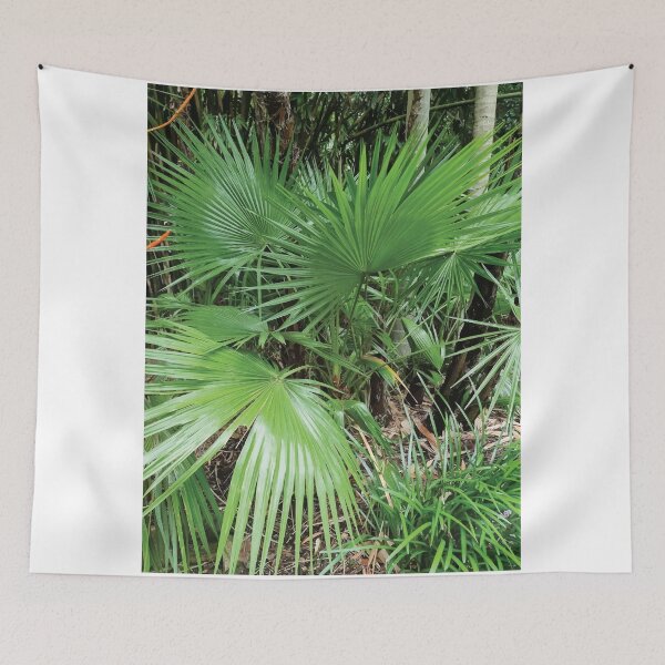 Item preview, Mount Coot-tha Botanic Gardens designed and sold by OCNau.