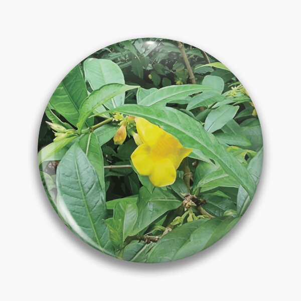 Item preview, Mount Coot-tha Botanic Gardens designed and sold by OCNau.