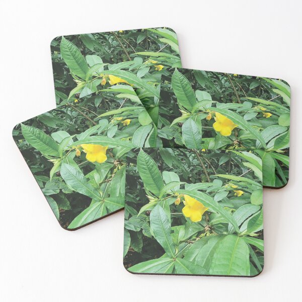 Item preview, Mount Coot-tha Botanic Gardens designed and sold by OCNau.