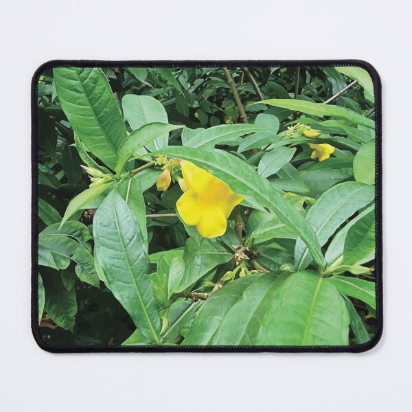 Item preview, Mount Coot-tha Botanic Gardens designed and sold by OCNau.