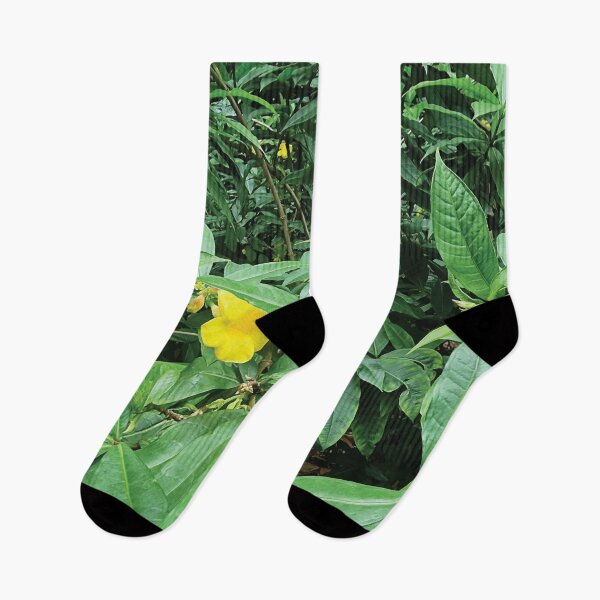 Item preview, Mount Coot-tha Botanic Gardens designed and sold by OCNau.