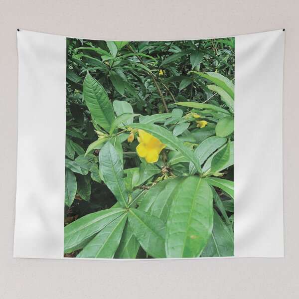 Item preview, Mount Coot-tha Botanic Gardens designed and sold by OCNau.
