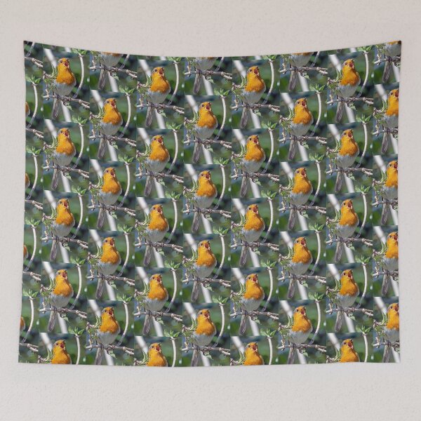 Item preview, Robin sings his heart out designed and sold by George Kelsey.