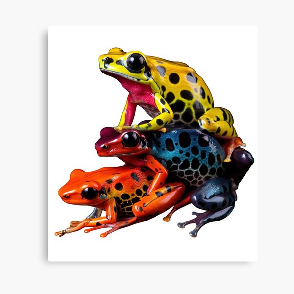 Aperçu de l'œuvre Poison Arrow Frogs créée et vendue par LividPhoto.